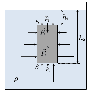  Выталкивающая сила